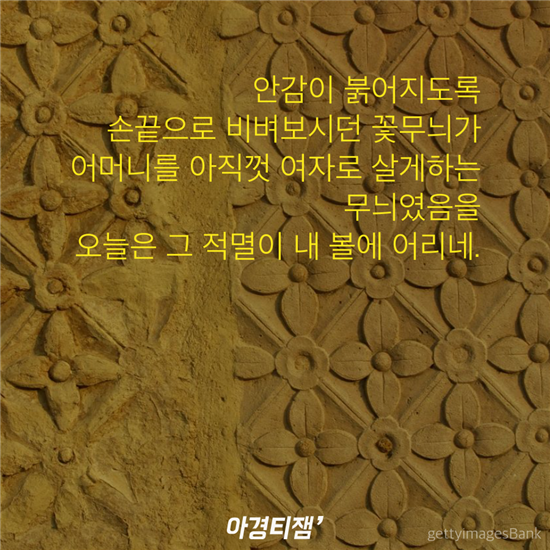 어머니는 아직도 꽃무늬 팬티를 입는다