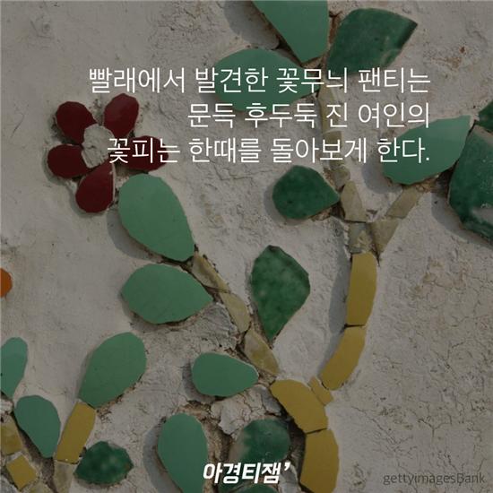 어머니는 아직도 꽃무늬 팬티를 입는다