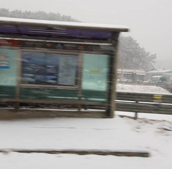 사진=육지담 SNS