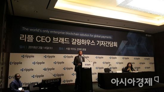 브래드 갈링하우스 리플 최고경영자