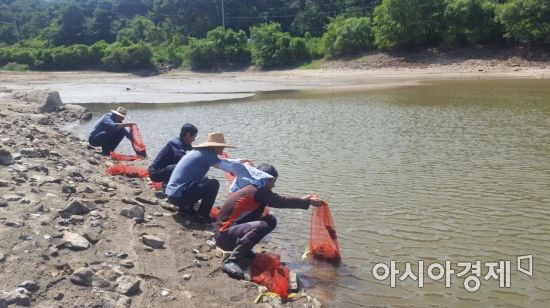 영광군, 어업자원 증강 위한 보리새우·자라 방류