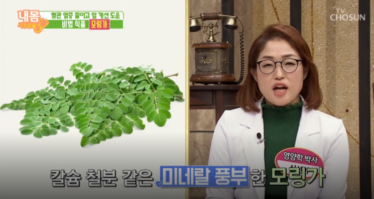 TV조선 '내 몸 사용 설명서'에 소개된 식물 모링가.사진=TV조선 교양 프로그램 ‘내 몸 사용 설명서 캡처