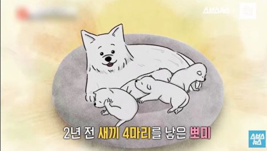 사진=스브스뉴스 유튜브 캡처