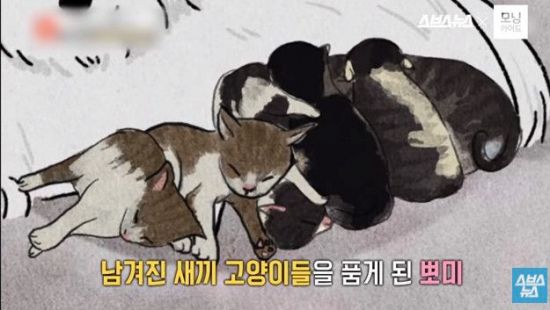 사진=스브스뉴스 유튜브 캡처
