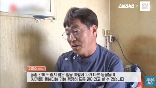 사진=스브스뉴스 유튜브 캡처