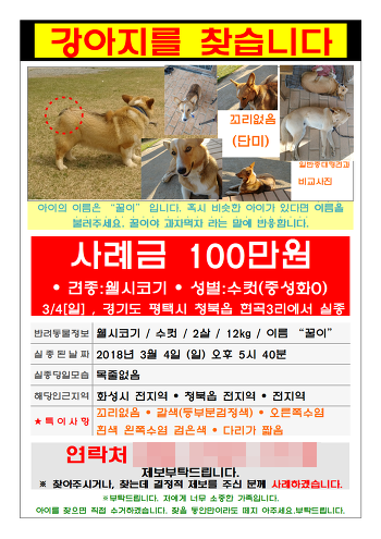B씨가 만든 전단지. / 사진=다음 아고라