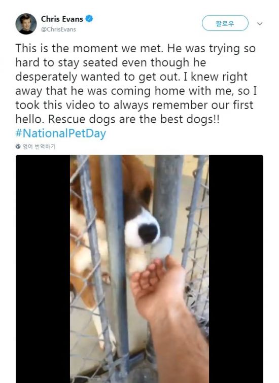 사진=크리스 에반스 트위터 캡처