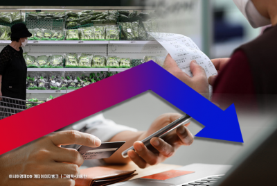 '제2 티메프' 막는다…금감원, PG사 정산금 60% 외부관리 가이드도입