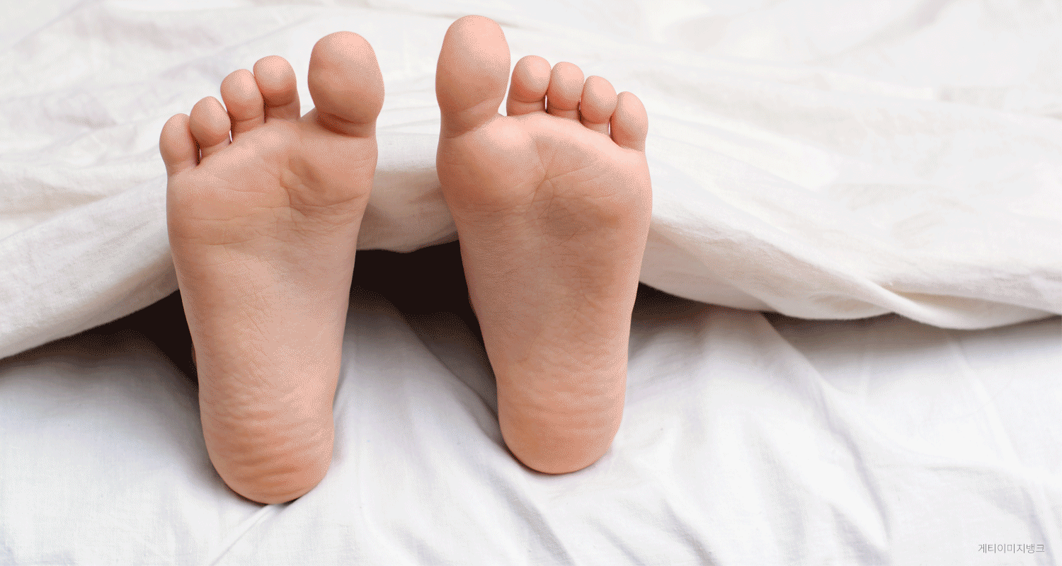 사망보험금 유동화, 내년부터 全 생보사로 확대…새해 달라지는 보험제도