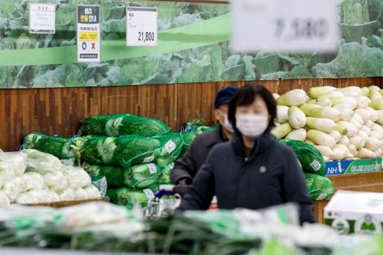 올해는 김치 담가볼까…배추·무 가격 50% 하락, 김장 수요↑