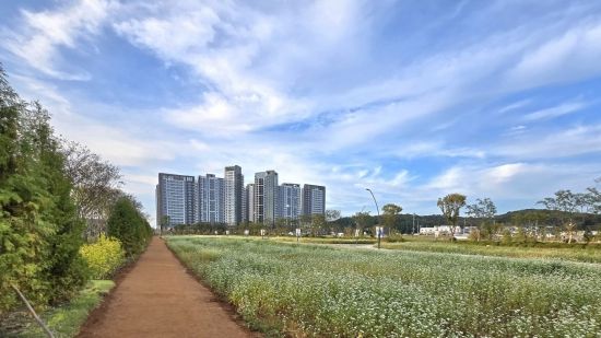 [르포]"도시 한복판 치유의 길"…맨발 황톳길 품은 신검단 로열파크씨티Ⅱ