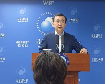 [일문일답]이세훈 금감원 수석부원장 "소비자보호 국민보고대회 내년 상반기 개최"