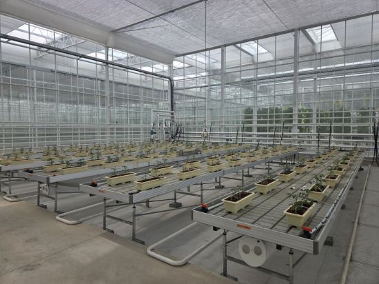 에코프로에이치엔, 카이스트·화학연과 '직접 공기포집' 기술 공동 개발