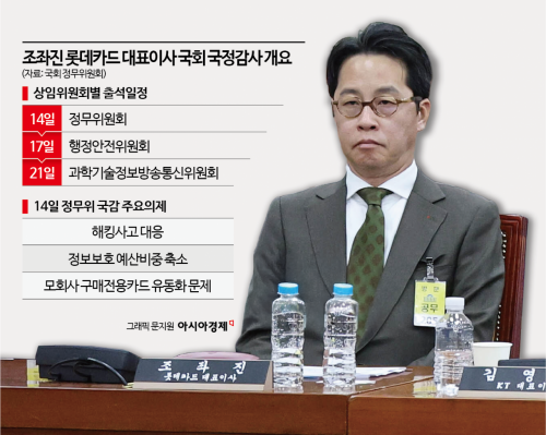 조좌진 롯데카드 대표 국감 출석…홈플러스·해킹 전방위 '공세'