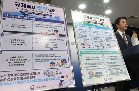 [포토] 2차 핵심규제 합리화 브리핑하는 손동균 규제조정실장