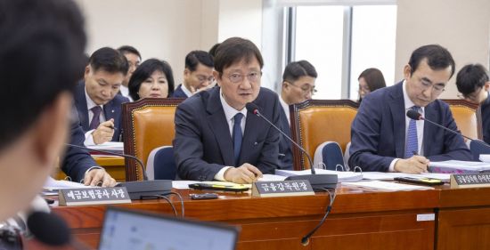 이찬진 금감원장 "주택 자녀 양도 발언 부적절…진심으로 사과"[2025국감]