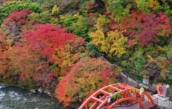 설악에서 한라까지 단풍 '절정'…호텔·리조트 손님맞이 잰걸음