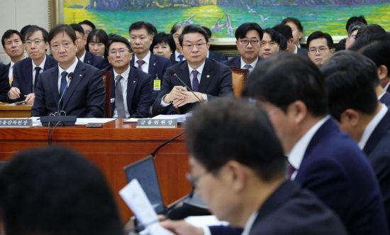 [2025국감]캄보디아 '뒷북 대응' 지적에…금융위 "선제적 계좌정지 검토"