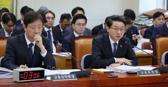 금융위 12월 국장급 인사…금감원, 조직개편부터 단행