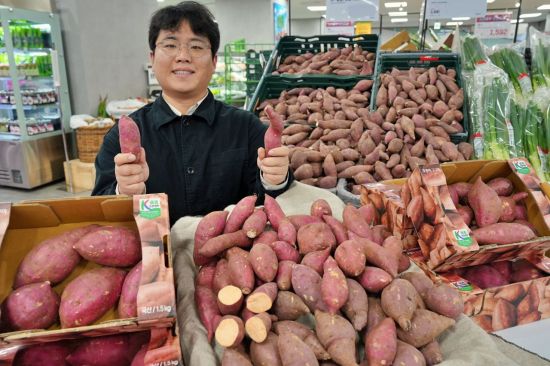 "겨울 대표 간식"… 롯데마트, 국산 품종 '호풍미 고구마' 본격 판매