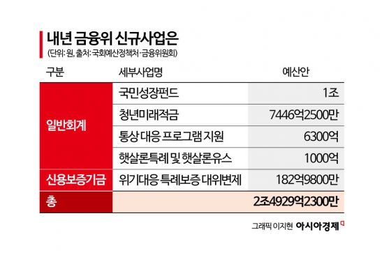 금융위 내년도 신규사업 예산 2.5조…“세부 계획·감액 필요”