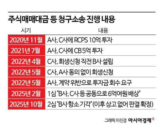 [Invest&Law]法 "회사 쪼개 채무회피…신설 회사도 빚 공동부담"