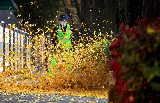 [포토] 화려한 가을을 남기고