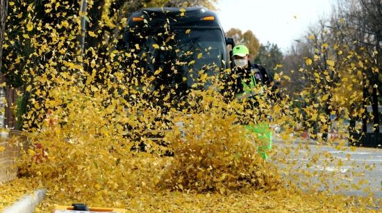 [포토] 가을이 남긴 흔적