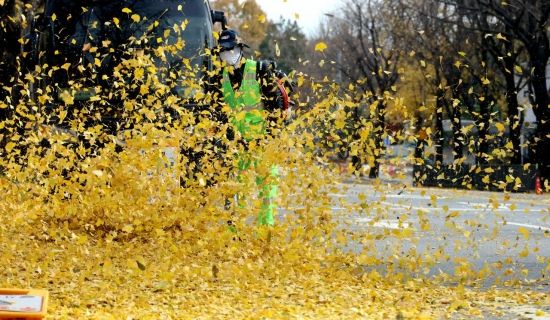 [포토] 흘날리는 가을