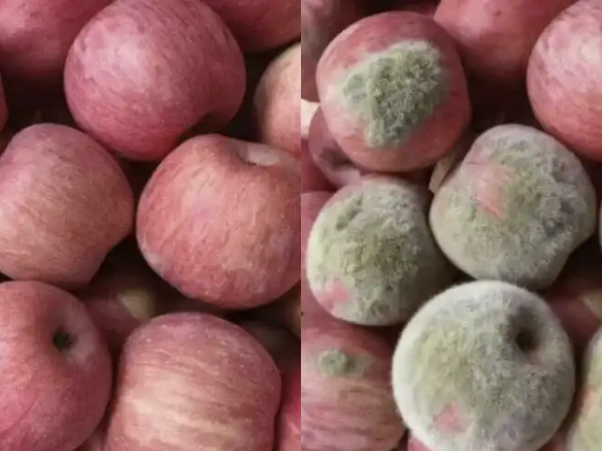 "누가 봐도 이상한 사진이잖아"…조작 이미지로 환불 요구하는 블랙컨슈머들