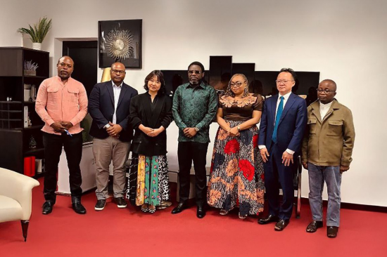 나노실리칸첨단소재, 아프리카 국가 기간사업 '세금 스탬프' 시스템 구축 본격화