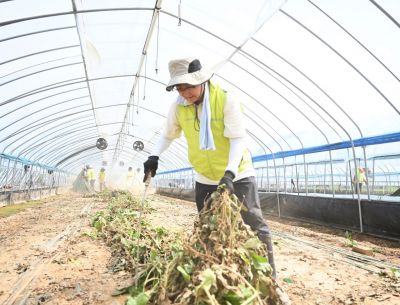 NH농협손보, 지역사회공헌 인정기업 5년 연속 선정