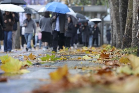 [포토] '가을의 끝자락'