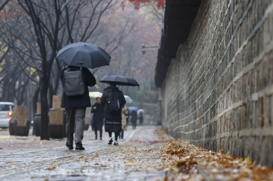 [포토] 가을비에 떨어진 낙엽