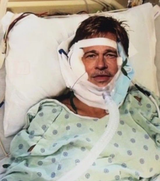 "나와 만나려면 돈 필요해" 브래드 피트 로맨스 스캠에 또 속았다