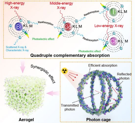 X선 위험 제거, 의료·산업 물꼬텄다… 국립부경대, 납 대체 X선 차폐 에어로겔 개발