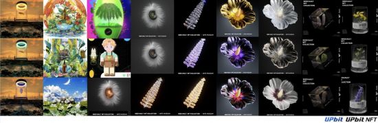 업비트, 시드볼트 NFT 통해 멸종위기식물 보전지 3호 조성