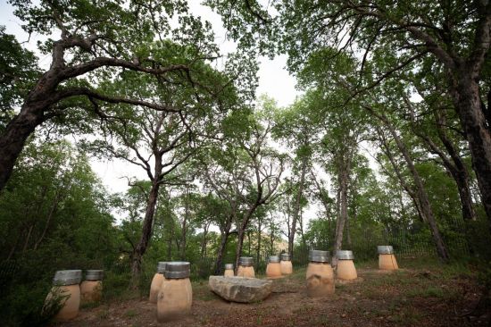 [아경와인셀라]'황금의 골짜기' 시간의 흐름을 한 병에 담았다