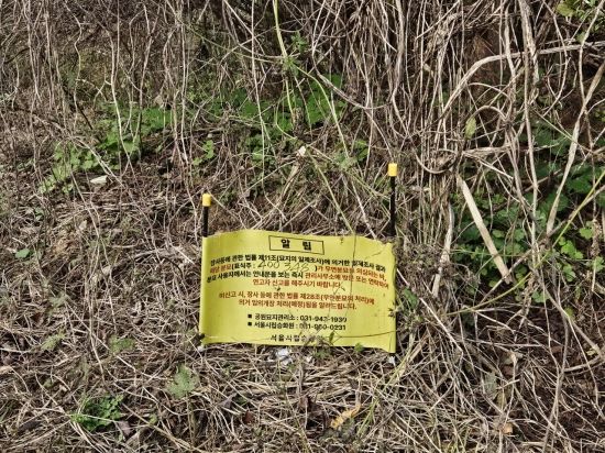 [2025 무연고사 리포트⑭]파악도 관리도 어렵다…발길 끊긴 무연고 묘지