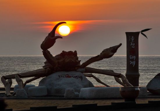 동해 첫 해, 이제는 KTX타고 울진!… 해맞이 관광 ‘시동’