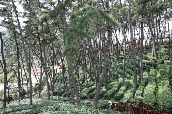 한라산 남성대 대피소 등 국가산림문화자산 '신규 지정'