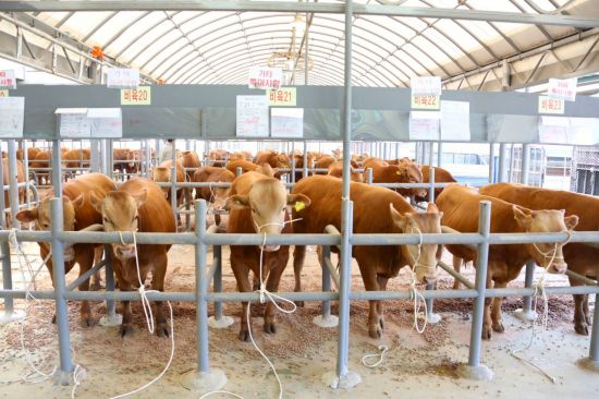 나주시, 전남도 가축유통시설 현대화 공모 최종 선정