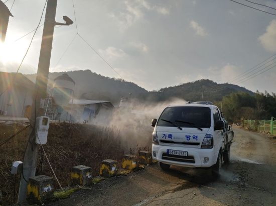 "심상치 않네~"…영암 오리농장서 또 조류인플루엔자 항원 확인
