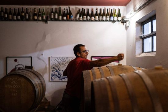 '와인 종주국' 이탈리아도 항복했다… 무알코올 와인 공식 승인