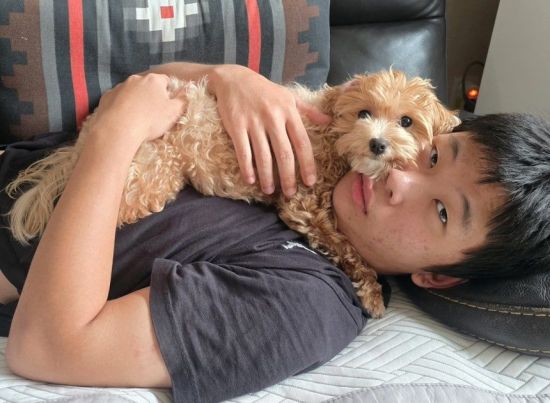 꿈 남기고 떠난 17세, 6명에 새 생명 나눠