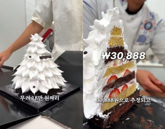 "18만원짜리 특급호텔 케이크, 재료 원가 3만원"…브랜드값·인건비는요?