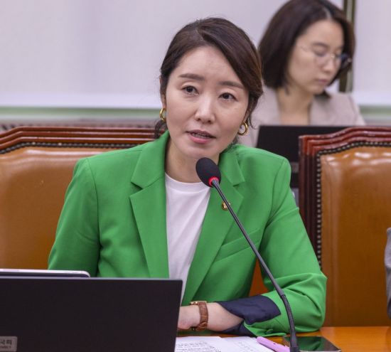 [속보]'강선우 공천 헌금' 김경, 월요일 귀국…경찰 "조사 조율"