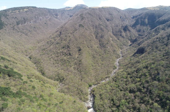 한라산 해발 1000m 계곡 용천수, 천연기념물 된다