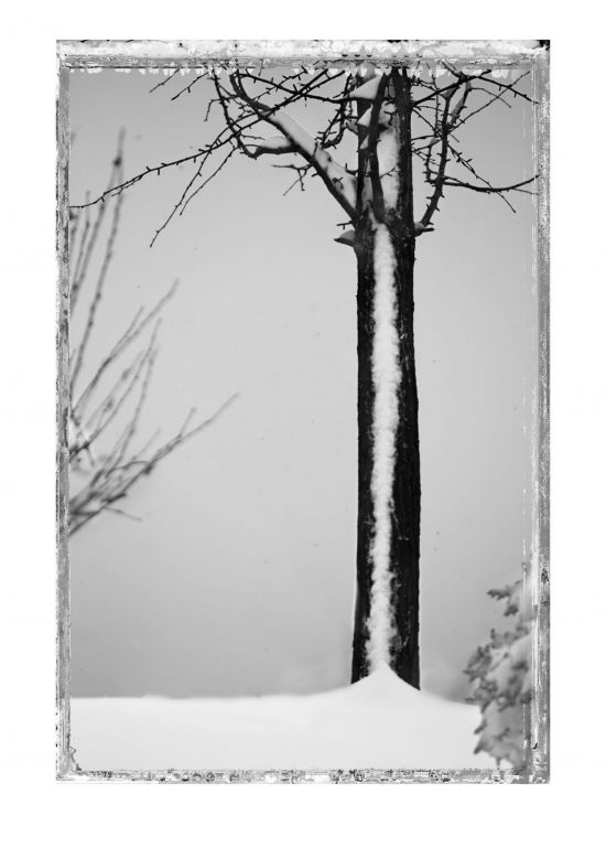 사진작가 김중만이 '상처 난 거리'에서 마주한 10년의 시간들