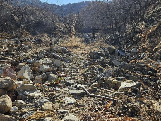 [단독] 산청군, 77세 농민 수해의 상처 … 행정은 없고 '눈물'뿐